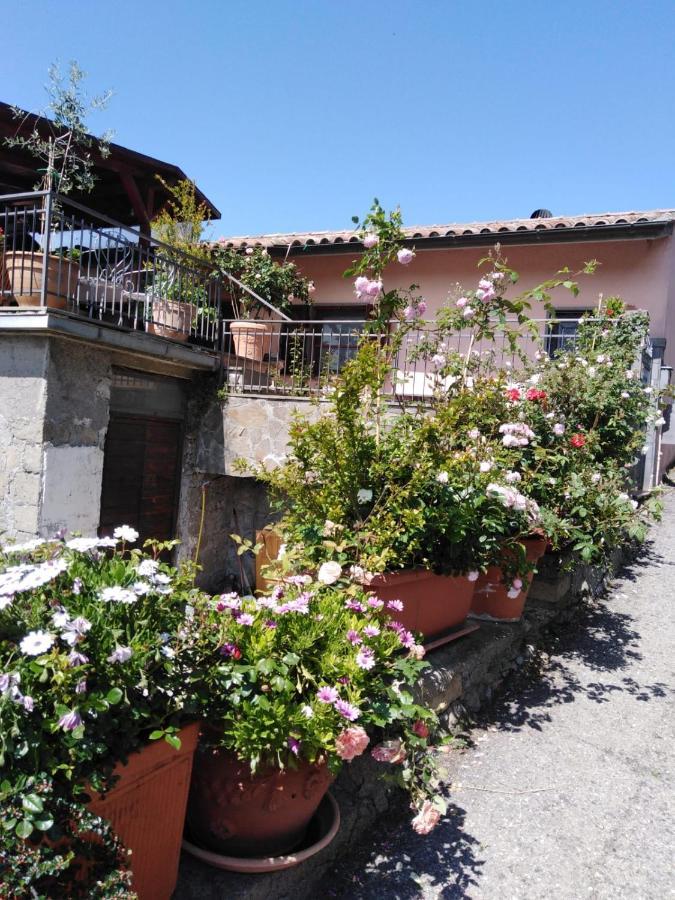 La Fenice Montefiascone Exterior foto