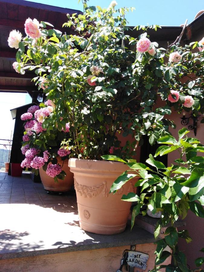 La Fenice Montefiascone Exterior foto