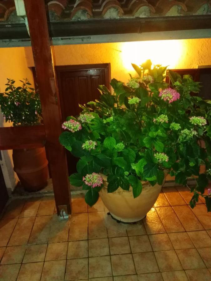 La Fenice Montefiascone Exterior foto