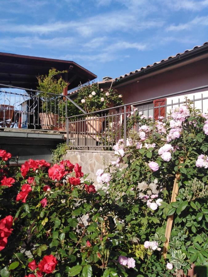 La Fenice Montefiascone Exterior foto