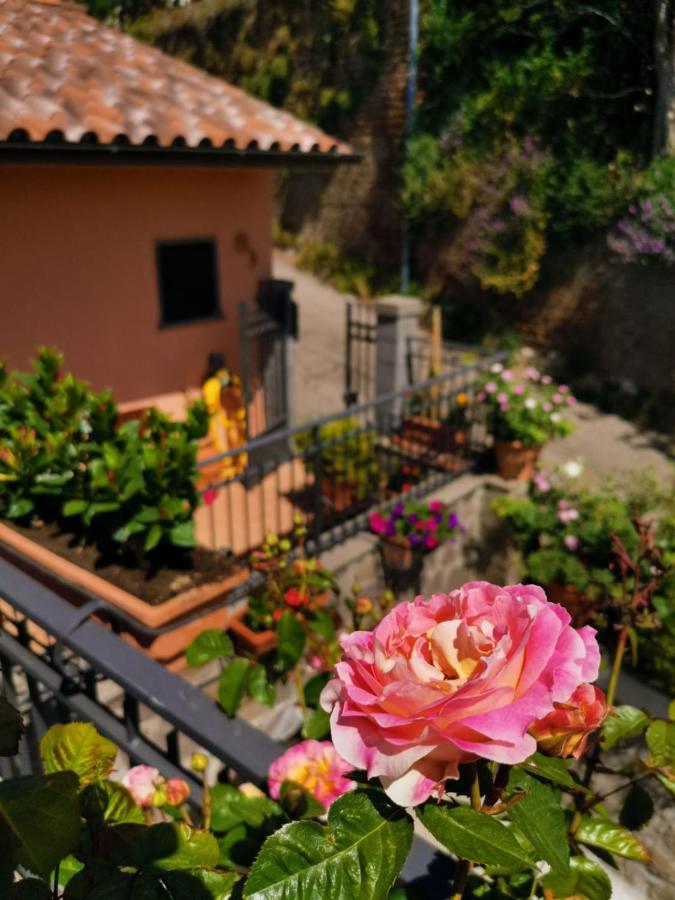 La Fenice Montefiascone Exterior foto