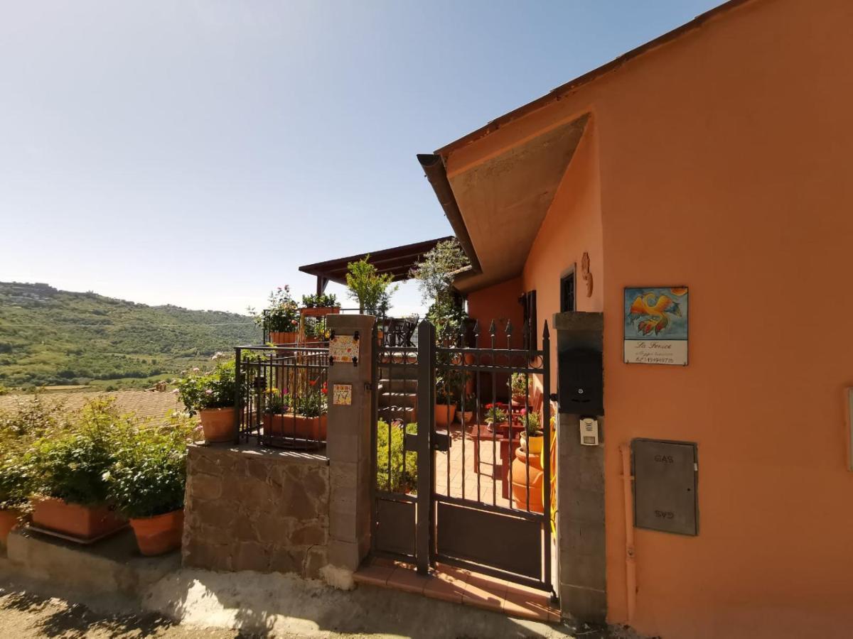 La Fenice Montefiascone Exterior foto