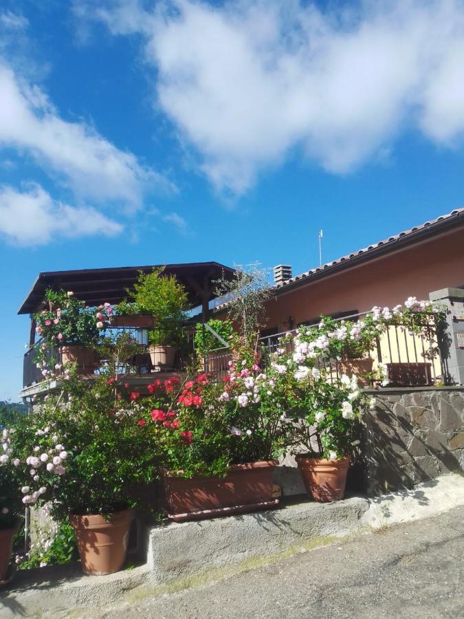 La Fenice Montefiascone Exterior foto